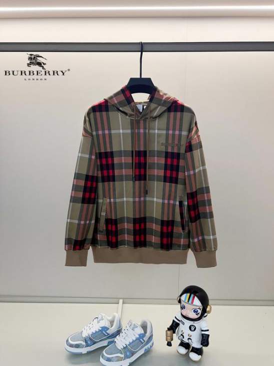 Picture of Burberry Hoodies _SKUBurberryXS-L24cr251893